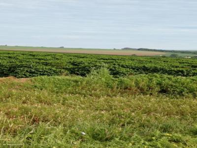 Fazenda para Venda, em Franca, bairro Parque Francal