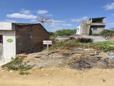 Terreno para Venda, em Pesqueira, bairro Prado