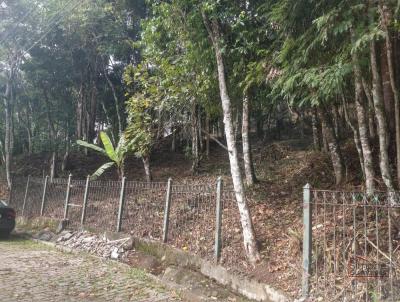 Terreno para Venda, em Terespolis, bairro Parque Ing