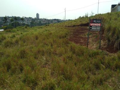 Terreno para Venda, em Apucarana, bairro Loteamento Residencial Cazarin