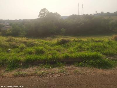 Terreno para Venda, em Avar, bairro Jardim Europa