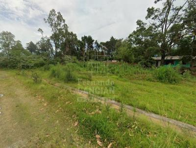 Terreno para Venda, em Santa Rosa, bairro Pereira