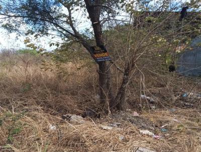 Terreno para Venda, em , bairro Parque Cidade