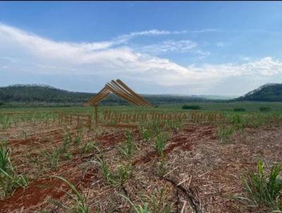 Fazenda para Venda, em So Carlos, bairro rea Rural de So Carlos