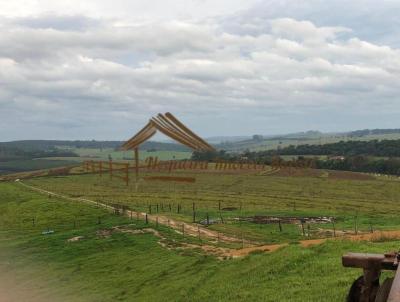 Fazenda para Venda, em Itapetininga, bairro rea Rural de Itapetininga