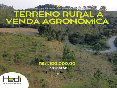Terreno para Venda, em Agronmica, bairro RIBEIRAO MOSQUITINHO