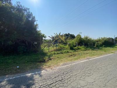 Terreno para Venda, em Araucria, bairro Thomaz Coelho