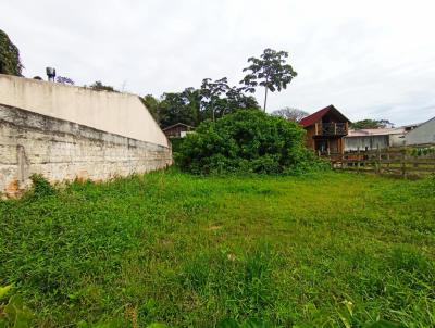 Terreno para Venda, em Balnerio Cambori, bairro Barra