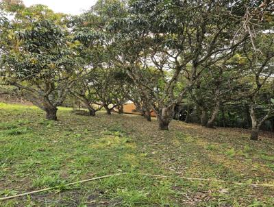 Chcara para Venda, em Atibaia, bairro Recanto dos Palmares