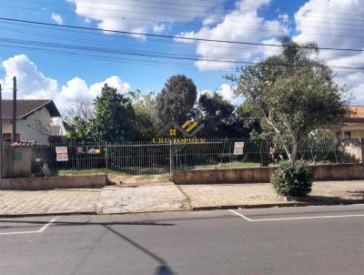 Casa para Locao, em Telmaco Borba, bairro Centro, 4 dormitrios, 3 banheiros, 2 sutes, 2 vagas