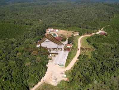 Fazenda para Venda, em So Miguel Arcanjo, bairro rea rural