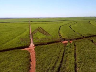 Fazenda para Venda, em Pereira Barreto, bairro rea Rural de Pereirra Barreto