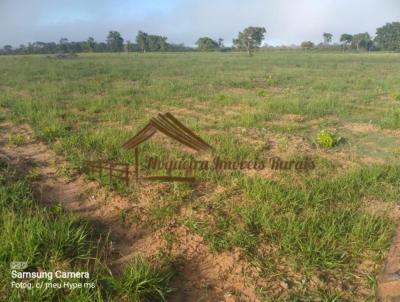 Fazenda para Venda, em Pedro Gomes, bairro rea rural