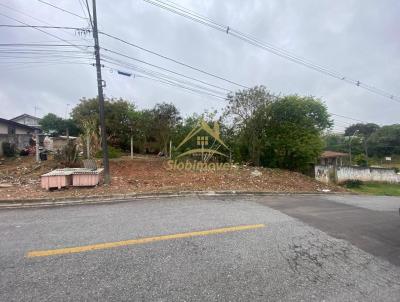 Terreno para Venda, em Araucria, bairro Iguau