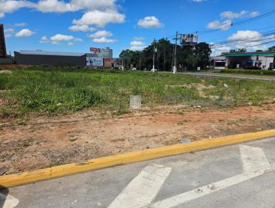 Terreno para Venda, em Gravata, bairro Centro