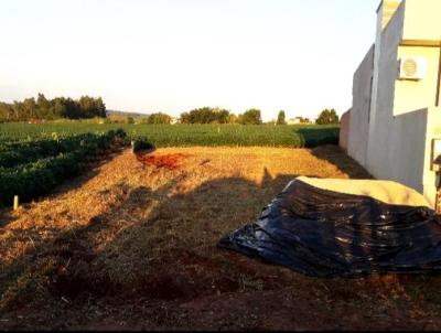 Terreno para Venda, em Santa Rosa, bairro Guia Lopes