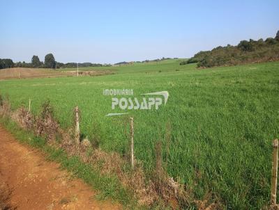 rea Rural para Venda, em Muitos Capes, bairro 