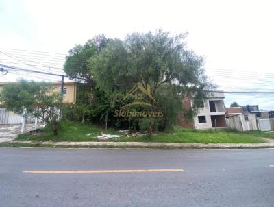 Terreno para Venda, em Araucria, bairro Campina da Barra