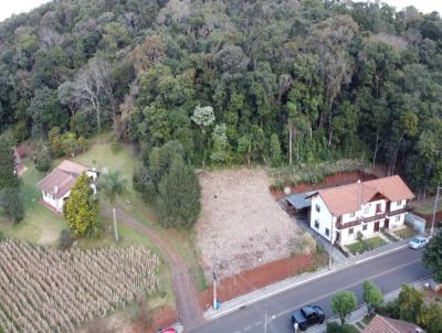 Terreno para Venda, em , bairro Centro