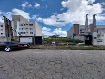 Terreno para Venda, em Cambori, bairro Centro