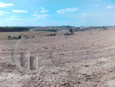 Stio para Venda, em Charqueada, bairro zona rural, 2 dormitrios