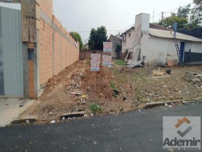 Terreno para Venda, em Santo Antnio da Platina, bairro Vila Rica