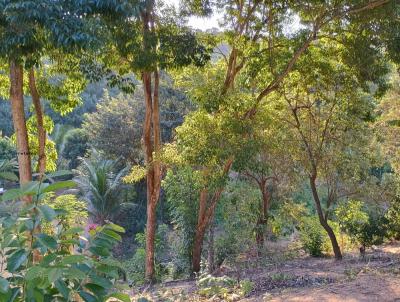 Terreno Rural para Venda, em Anchieta, bairro serra das graas