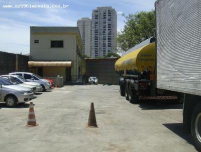Terreno para Locao, em So Paulo, bairro Ipiranga