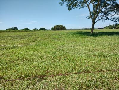 rea para Venda, em Onda Verde, bairro rural, 2 dormitrios, 2 banheiros, 1 vaga