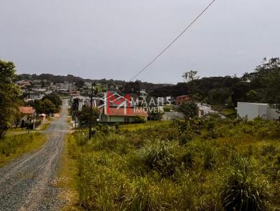 Terreno para Venda, em So Bento do Sul, bairro Boehmerwald