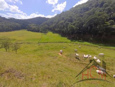 Stio para Venda, em Rio das Flores, bairro TABOAS, 4 dormitrios, 3 banheiros, 2 sutes