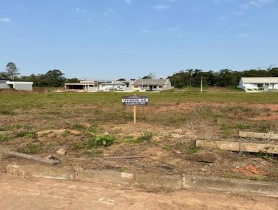 Terreno para Venda, em Venncio Aires, bairro Bairro Bela Vista / Loteamento dos Anjos