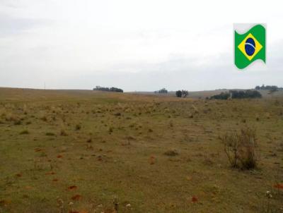 Fazenda para Venda, em Rosrio do Sul, bairro Zona Rural