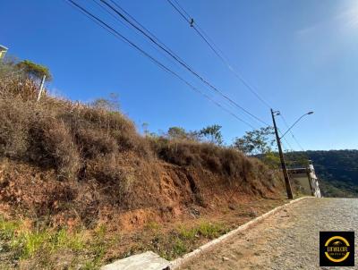 Lote para Venda, em Juiz de Fora, bairro Terras Altas