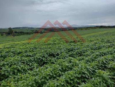 Fazenda para Venda, em Mococa, bairro Centro