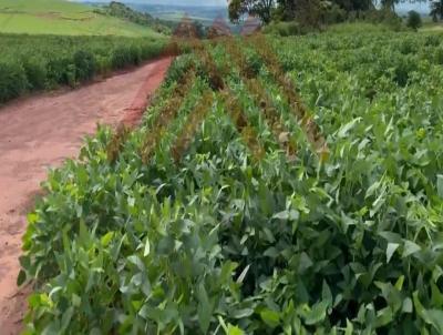 Fazenda para Venda, em Araraquara, bairro Centro