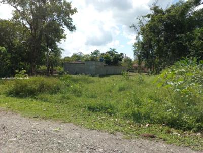 Terreno para Venda, em So Sebastio, bairro Jaragu