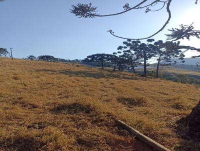 Terreno para Venda, em Bom Repouso, bairro rea Rural