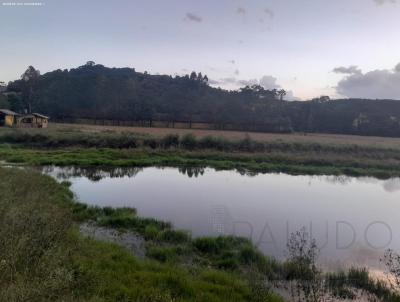 rea para Venda, em Vila Maria, bairro ERS 324