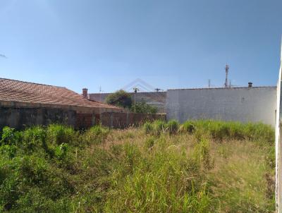 Terreno para Venda, em Avar, bairro Brabancia