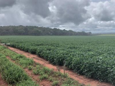 Fazenda para Venda, em Paranatinga, bairro SANTIAGO DO NORTE