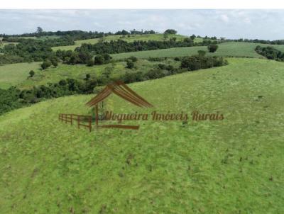 Stio para Venda, em Cesrio Lange, bairro rea rural