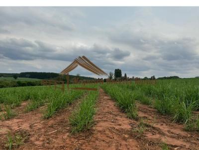 Stio para Venda, em guas de Santa Brbara, bairro rea rural