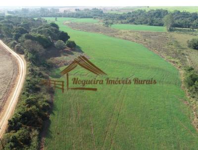 Stio para Venda, em Cesrio Lange, bairro rea rural