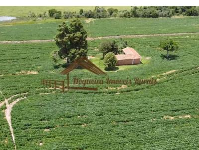 Stio para Venda, em Avar, bairro rea Rural de Avar