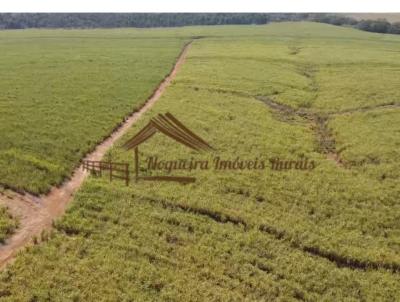 Stio para Venda, em Quadra, bairro rea rural