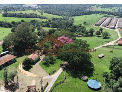 Stio para Venda, em Alambari, bairro rea rural