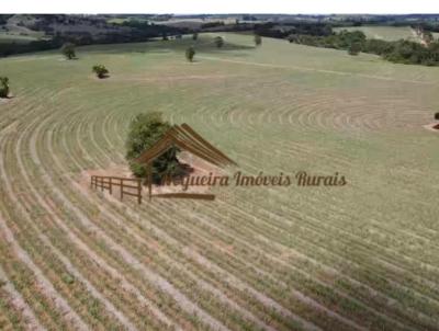 Stio para Venda, em Itapetininga, bairro rea Rural de Itapetininga