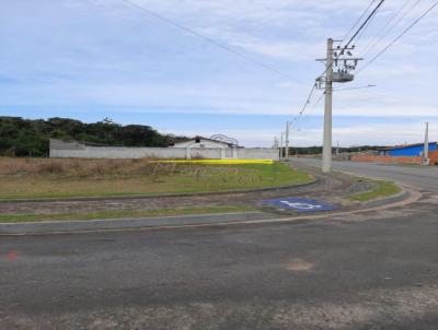 Terreno para Venda, em Araquari, bairro Escola Agrcola