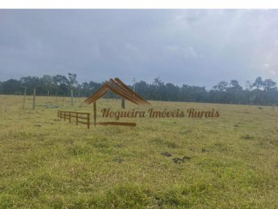 Stio para Venda, em Botucatu, bairro rea Rural de Botucatu